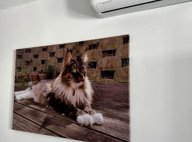 Fashion Vivalavida, Private Pool X Parking 빌라 플라야블랑카